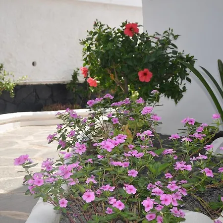 Alsol Orquideas Daire Playa del Ingles (Gran Canaria)