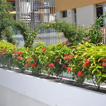 Daire Alsol Orquideas *