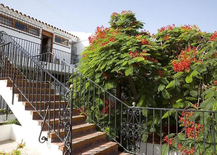 Apartamento Alsol Orquídeas Playa del Inglés