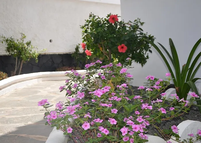 Alsol Orquídeas Apartamento Playa del Inglés