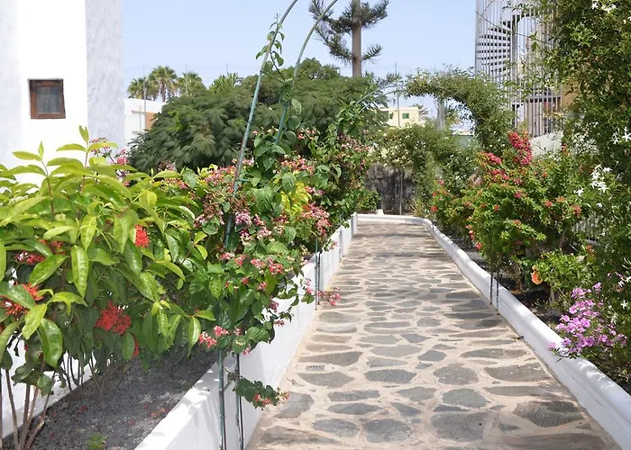 Alsol Orquídeas * Playa del Inglés